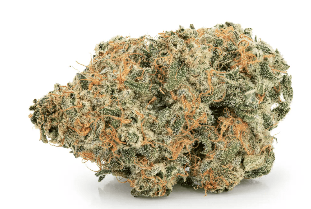 Remexian WTF 21/1 MIC TAP Tangerine Punch